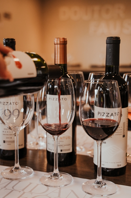 Degustação Merlot - Uva e Vinho no DNA