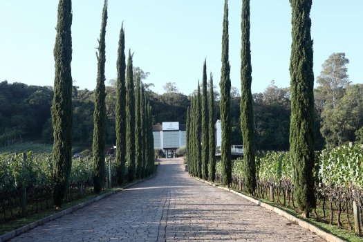 Degustação + Visita guiada - Almaúnica