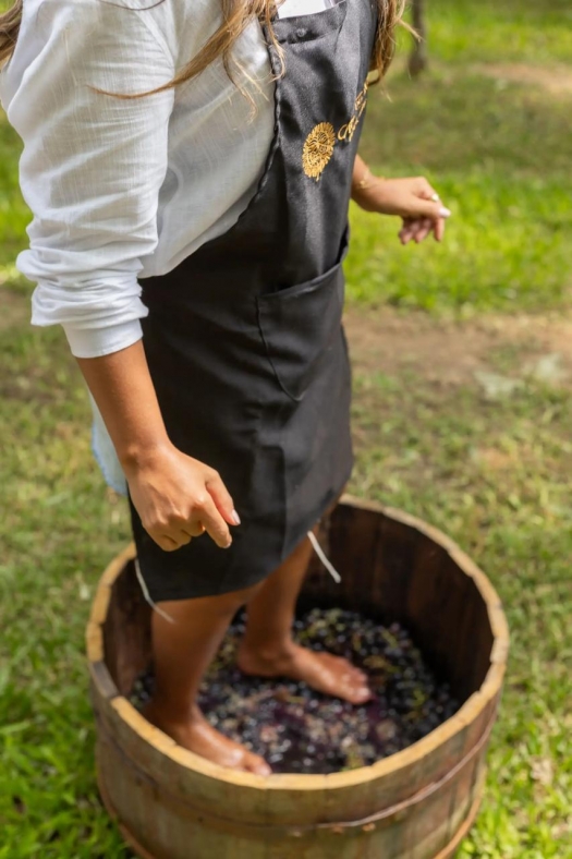 Sol & Sabor: A Celebração da Vindima na Cave do Sol