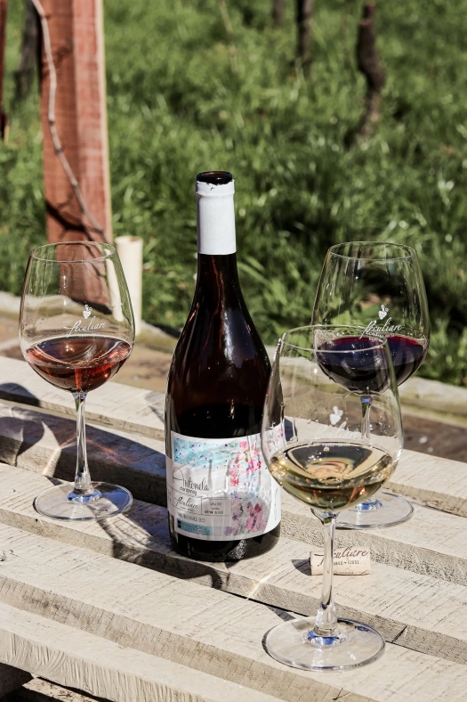 Giardino com Vino na Vinícola Peculiare 