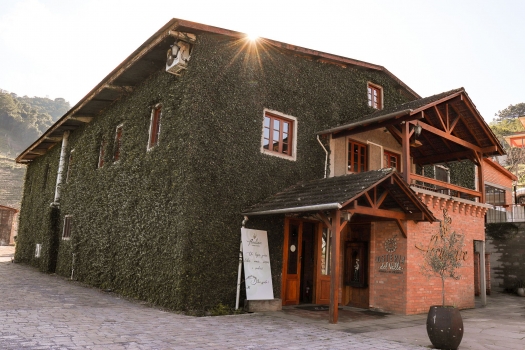 Enólogo por um Dia na Vinícola Peculiare 