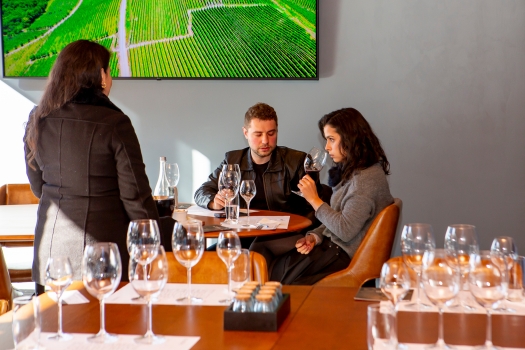 Degustação Merlot - Uva e Vinho no DNA