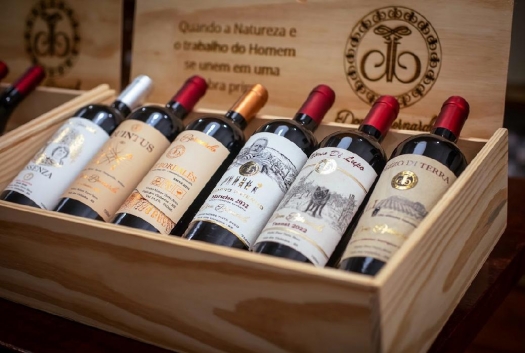 Degustação Raízes - Vinícola Dom Bernardo