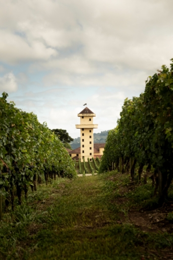Tour Vinhos e Tradição - Giordani Turismo