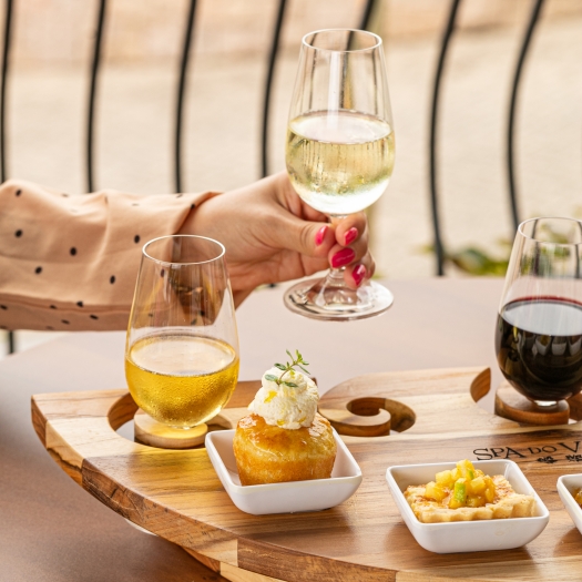 Wineflight Terroir Vale dos Vinhedos