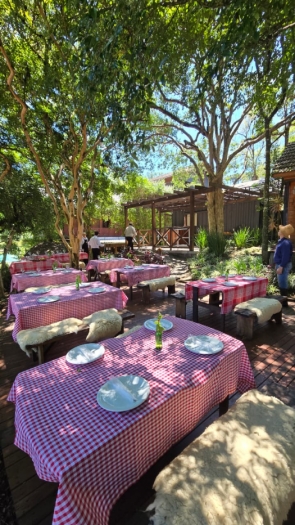 Vindima Pasta & Brasa - Giordani Gastronomia 