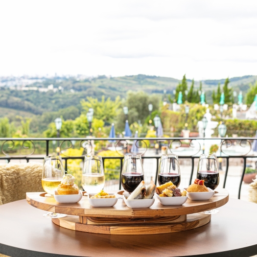 Wineflight Terroir Vale dos Vinhedos