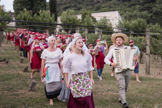 La Bella Vendemmia - Hotel Villa Michelon