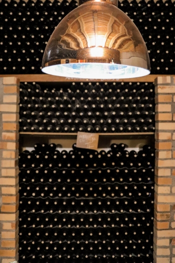 Tour Premium - Peculiare