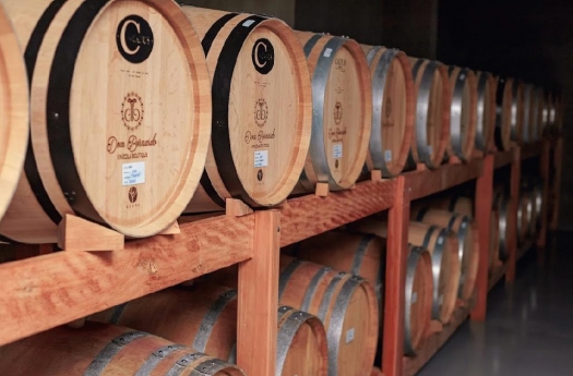 Degustação Encanto - 5 Vinhos - Dom Bernardo