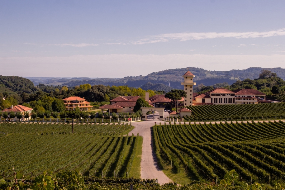 Miolo Wine Group