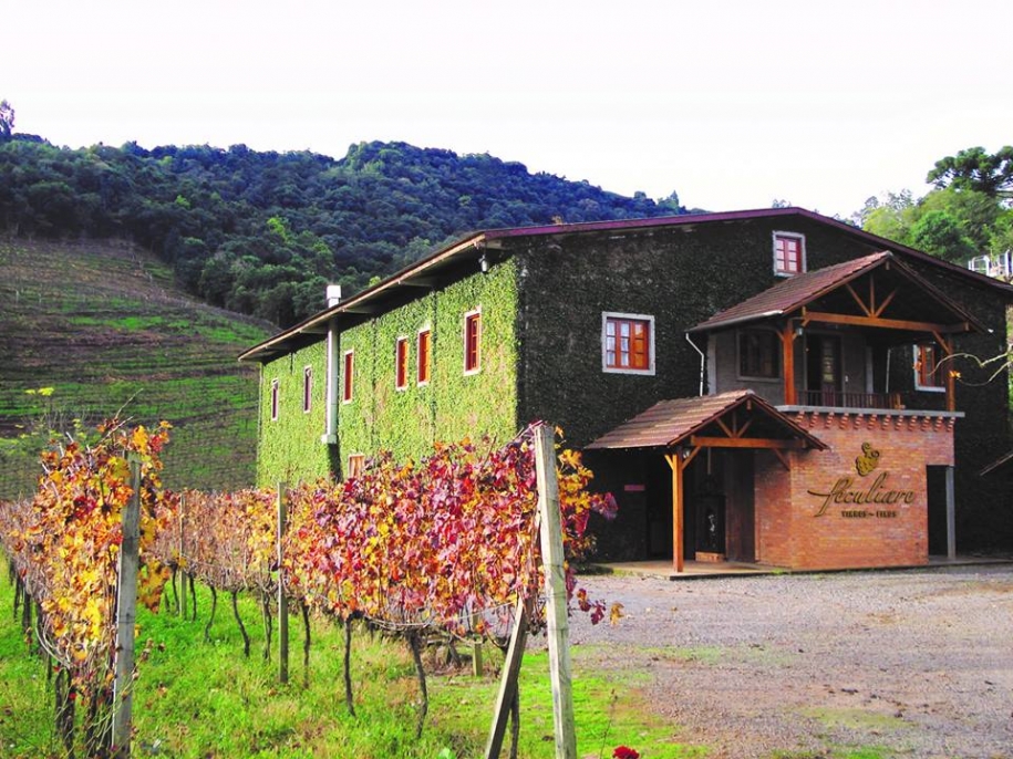 Peculiare Vinhos Únicos