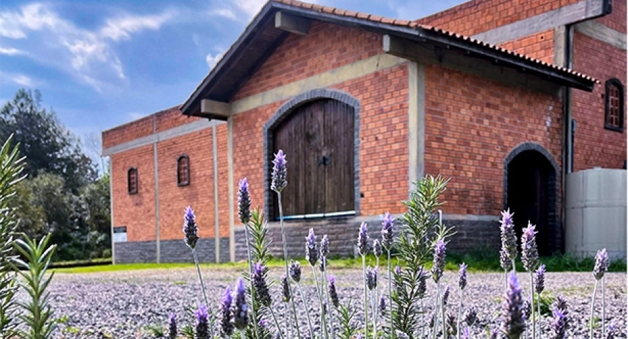 Vinícola Santa Bárbara