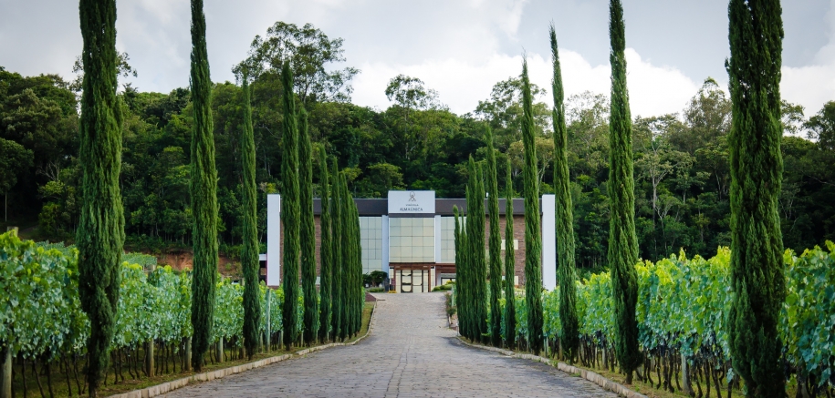 Vinícola Almaúnica