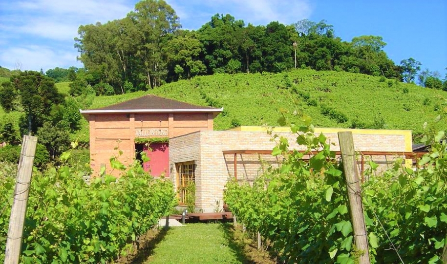 Vallontano Vinhos Nobres