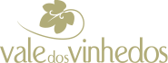 imagem do logo escrito vale dos vinhedos